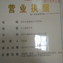 土鸡苗35~45克出壳苗