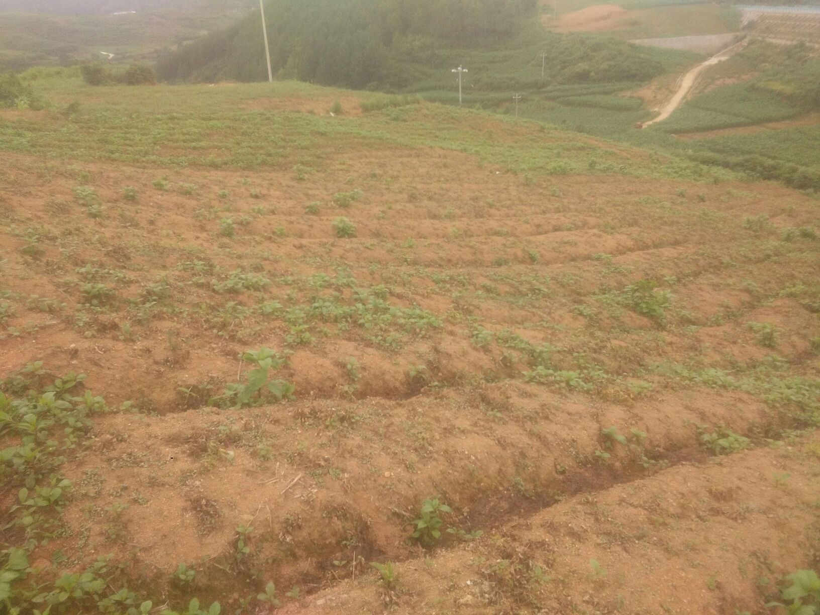 野三坡小米核心产区航拍图：太行山北麓梯田地貌与传统石堰旱作系统