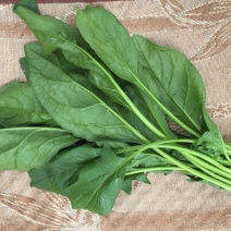 菠菜