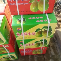 库尔勒香梨200~250g55mm以上母