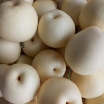 皇冠梨250~300g纸箱