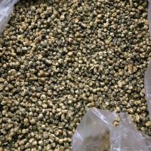 白菊花茶
