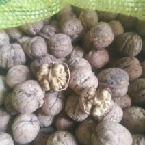 纸皮核桃去皮干