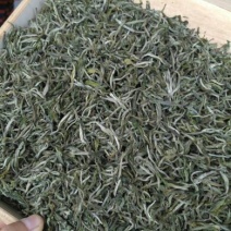 普洱绿茶