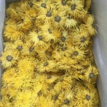 菊花茶
