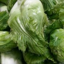 儿菜3两以上