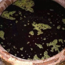菜油一级