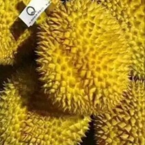 榴莲