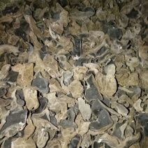 黑木耳一级