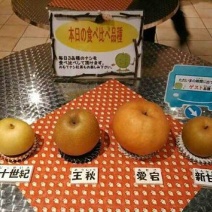 梨250~300g纸箱