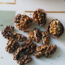 薄皮核桃去皮干