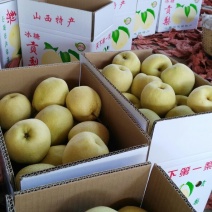 酥梨150~200g纸箱