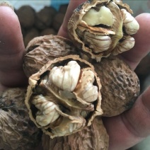 薄皮核桃30mm以上去皮干