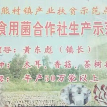 黑木耳特级