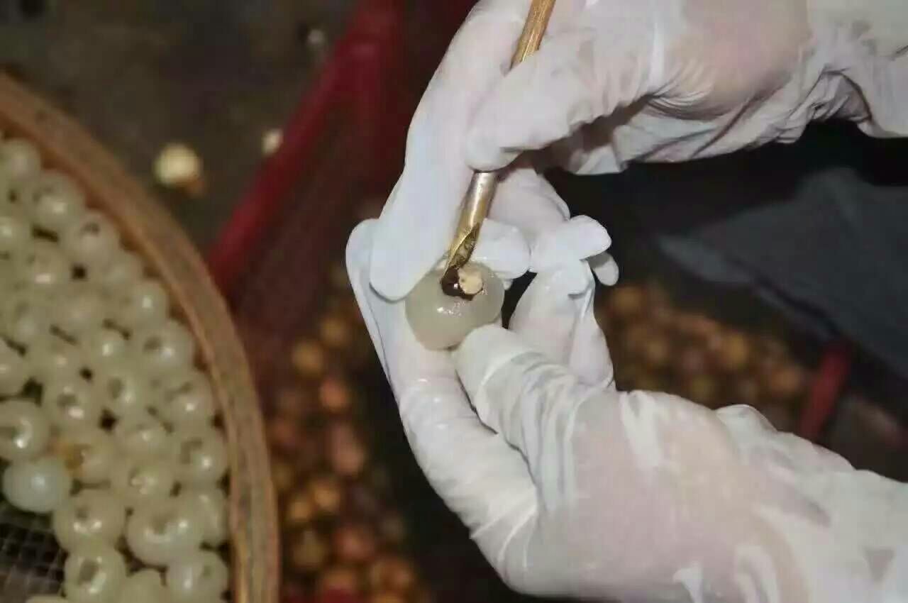 展示桂味荔枝果肉被仔细剥壳去核的过程,背景为厨房操作台 桂味荔枝果肉处理过程