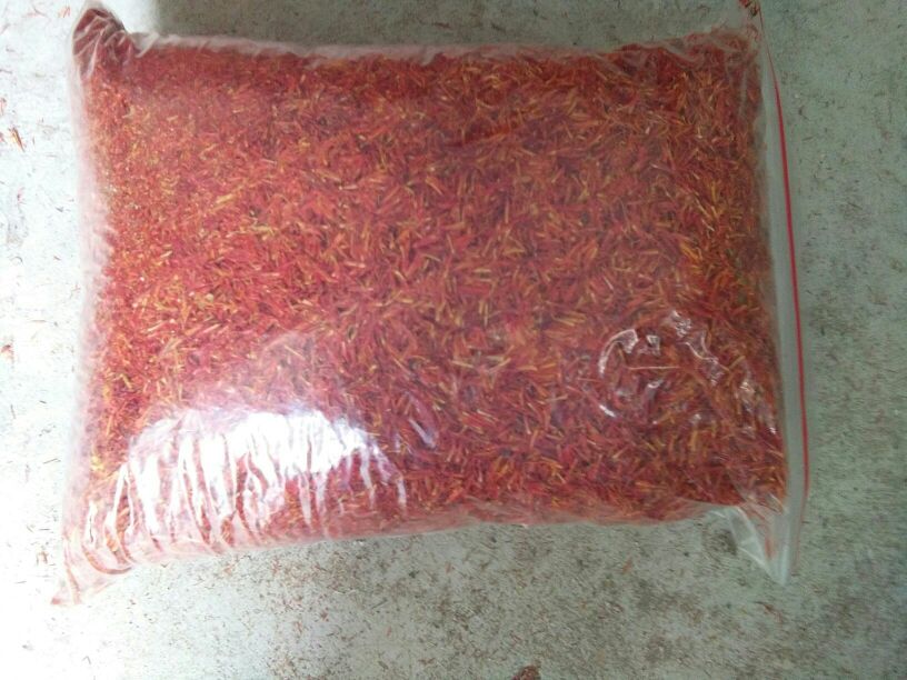 红花八角植物的全貌