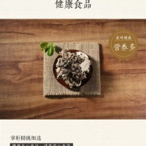 茶树菇14cm