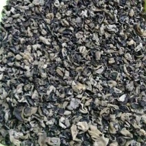 干木耳特级