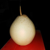 鸭梨纸袋