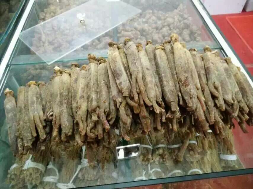 红参整体结构示意图