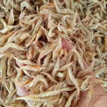 毛花鱼干
