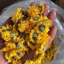 菊花茶