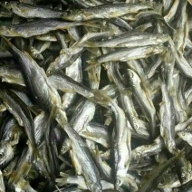 餐条鱼干