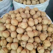 新疆核桃去皮干