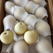 皇冠梨250~300g纸箱