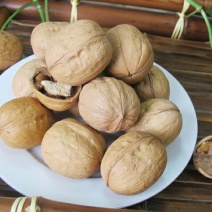 薄皮核桃去皮干