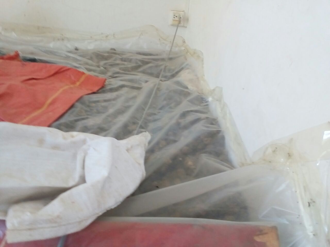 黑玛卡粉包装与储存示意图