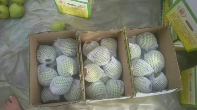 莱阳市梨包装与运输