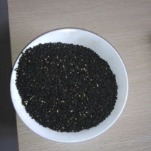 紫皮洋葱种子85%