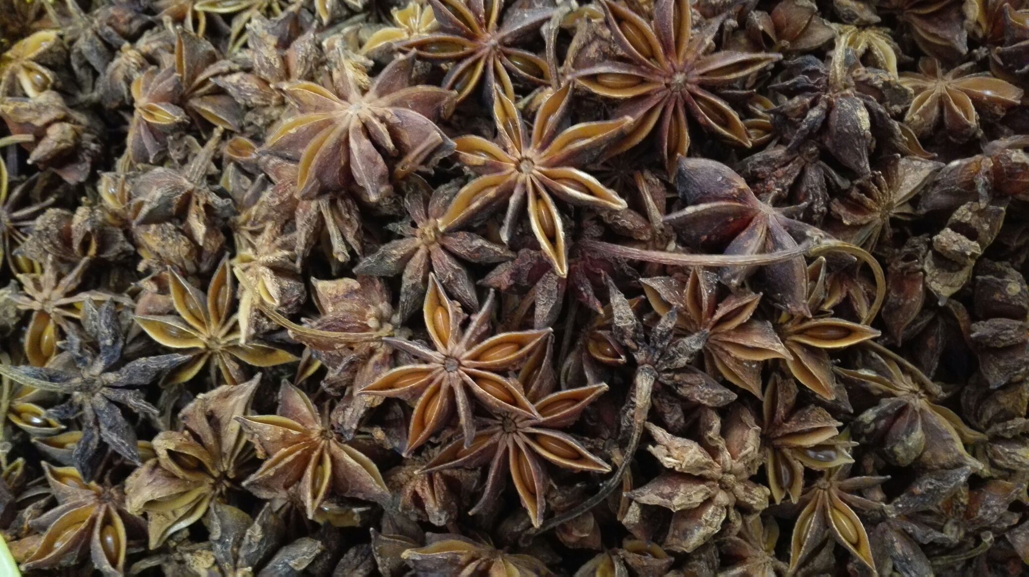 一张平铺展示的香料对比图,左侧为完整八角(星形),右侧为小茴香籽(细小条状)、桂皮段、花椒粒等,背景为白色陶瓷盘,标签清晰标注每种香料名称,用于直观区分八角与其他常见香料 市场上的香料对比图