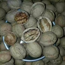 薄皮核桃30mm以上去皮干