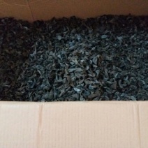 干木耳一级