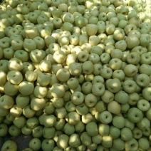 皇冠梨300~350g纸箱