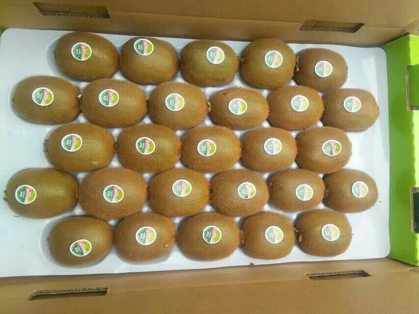 超市水果区货架上并列摆放着两组猕猴桃:左侧是标有‘佳沛Zespri’标签的绿心奇异果,装在蓝色托盘中;右侧是散装国产绿心猕猴桃,附有中文价签。背景可见其他水果和购物顾客,展示真实消费场景 超市货架上的绿心奇异果与国产猕猴桃对比陈列