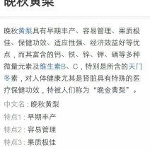 晚秋黄梨500~550g纸箱