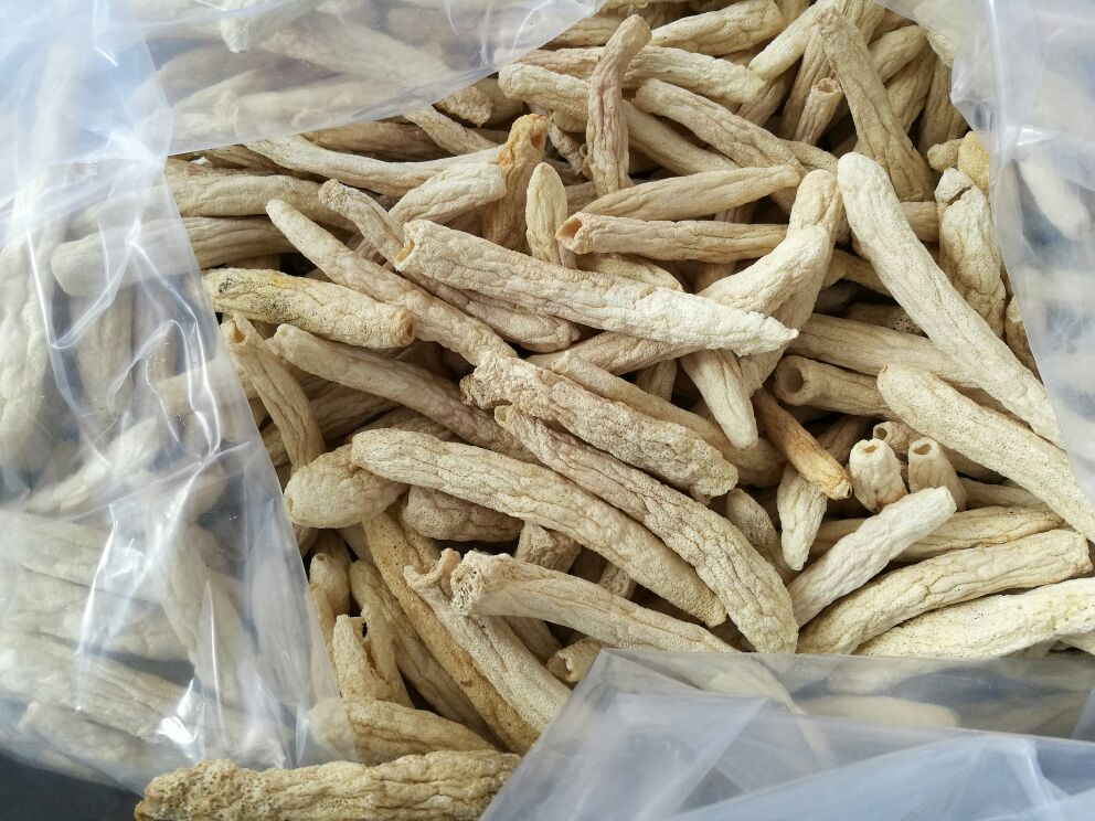 两张对比图片并列展示:左侧为正规品牌竹荪包装,标有SC编号、产地贵州织金、等级一级、生产日期及真空密封;右侧为散装竹荪堆放在竹筐中,无任何标签信息,部分菌体断裂发黄,背景杂乱 竹荪包装对比图