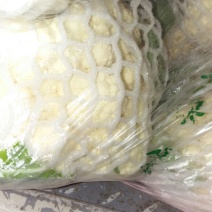 白花菜包装
