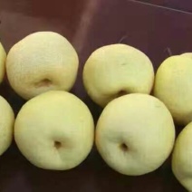 礼泉酥梨60~100g纸箱