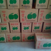 礼泉酥梨250~300g纸袋