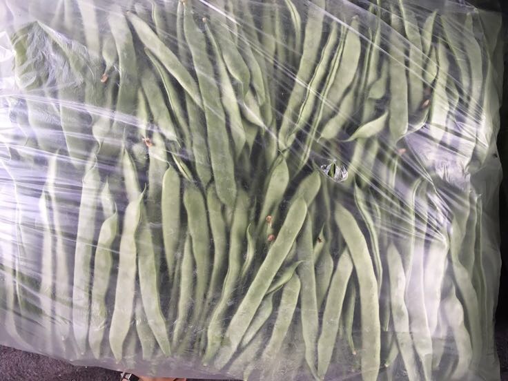 扁豆焯水与冷冻处理