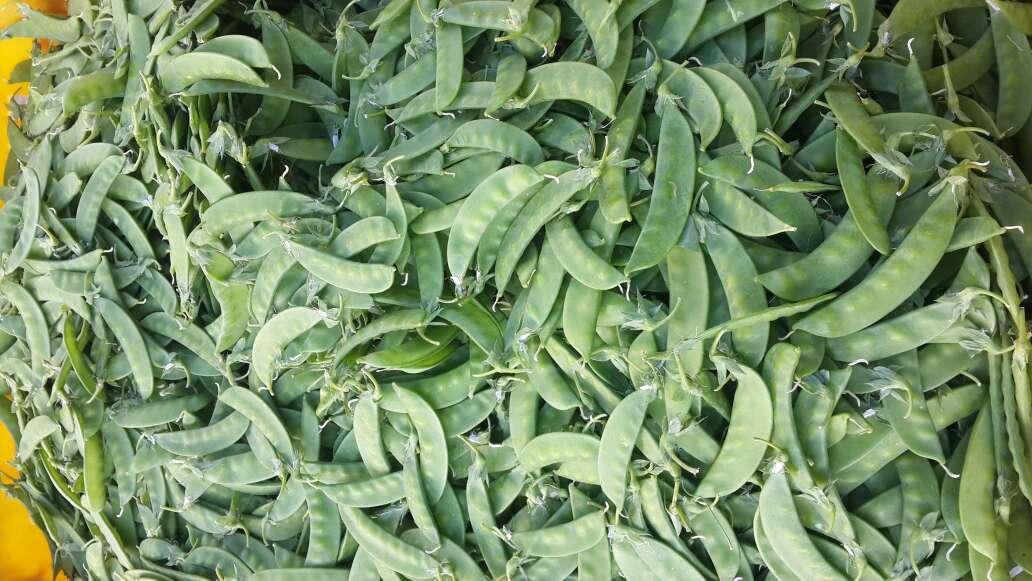 荷兰豆在菜市场中新鲜上市