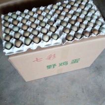 野鸡蛋食用50g以下