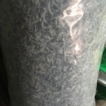 黑木耳