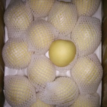 皇冠梨300~350g纸箱