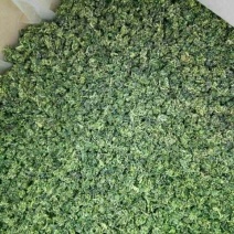 枸杞叶茶特级