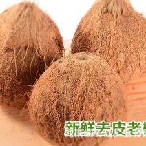 椰子2.5~3斤